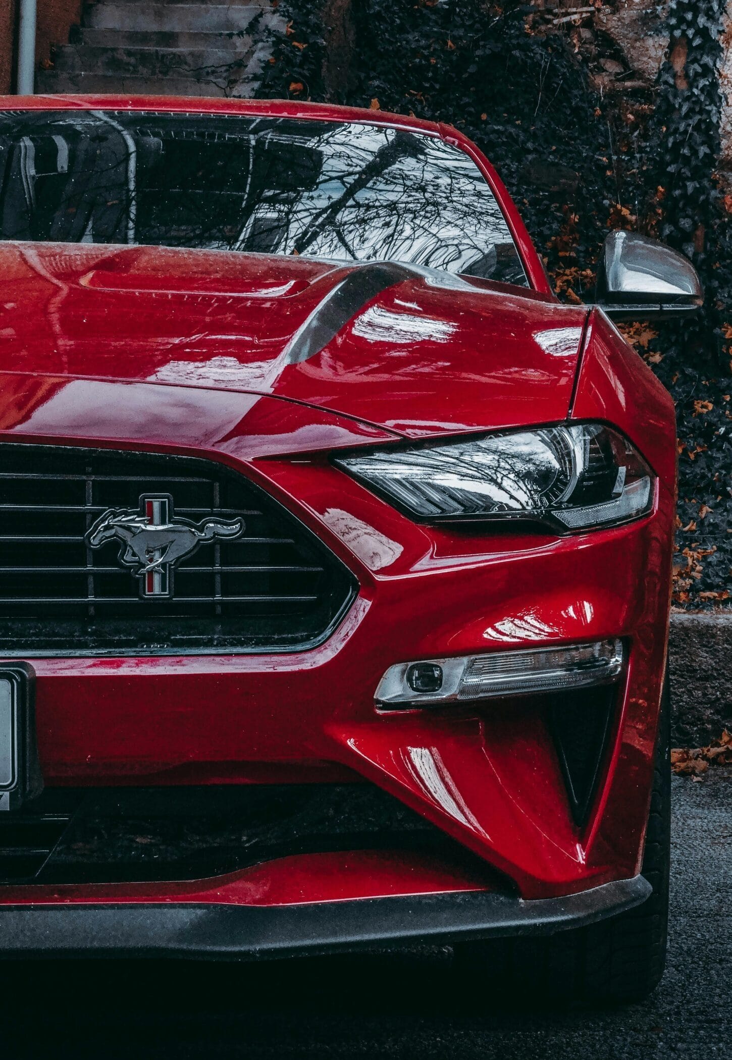 Dream Car - Ford Mustang by WinJourney Dream Car - Ford Mustang by WinJourney